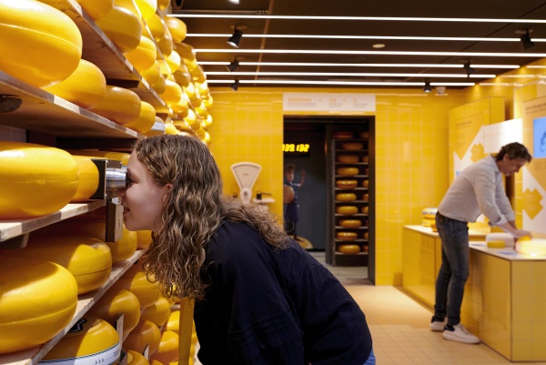 奶酪體驗(yàn)中心展廳設(shè)計(jì)